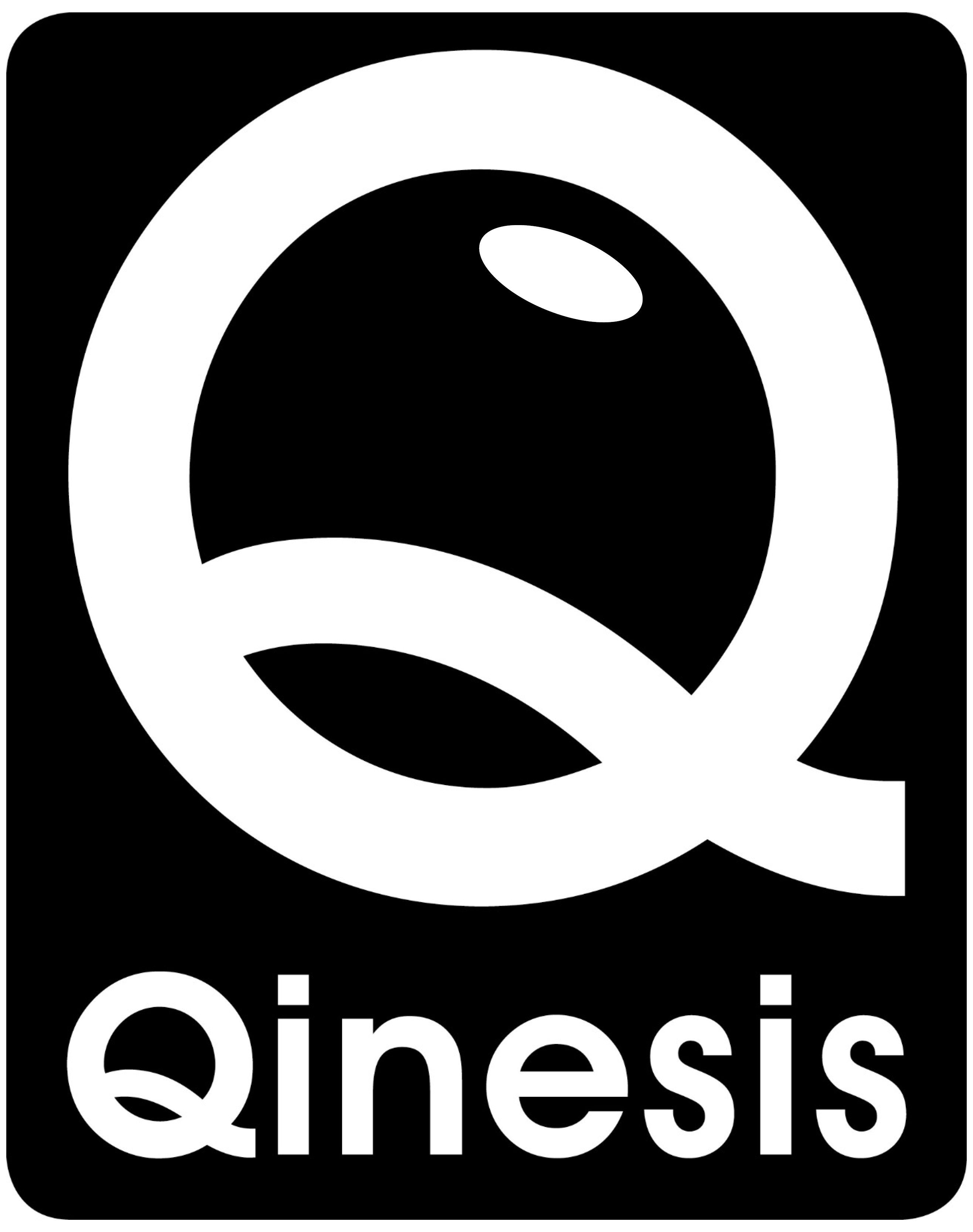 Qinesis Logo