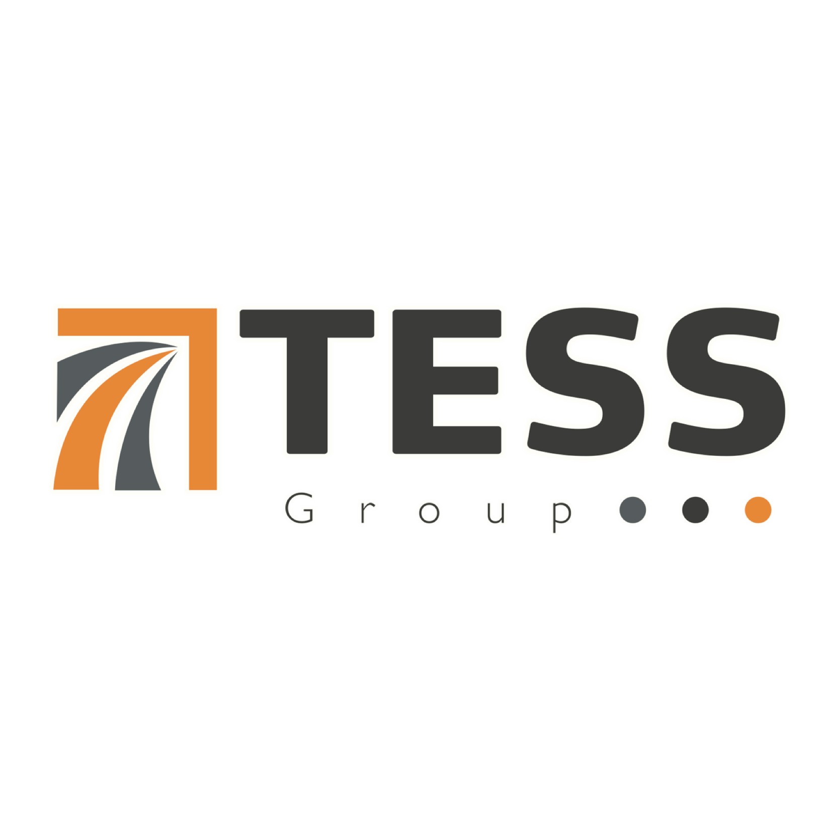The Tess Group Logo